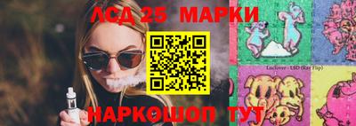 spice Новодвинск