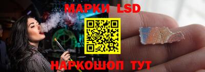 spice Новодвинск