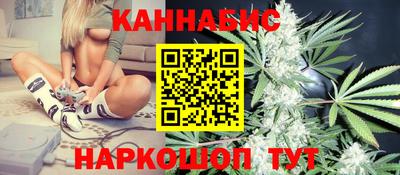 spice Новодвинск