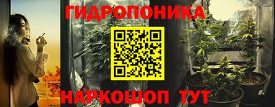 стафф Новозыбков