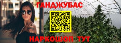 spice Новодвинск