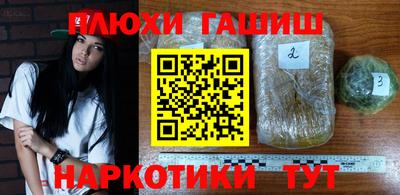стафф Новозыбков