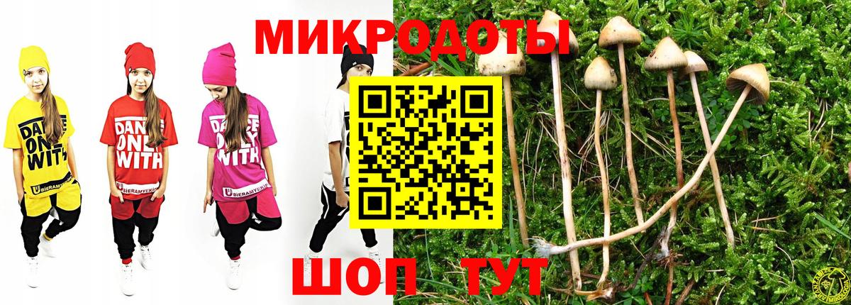 Томск  Псилоцибиновые грибы Psilocybine cubensis  купить наркоту  Вход с VPN 